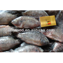 new black tilapia fish price